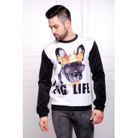 Французский бульдог Свитшот №2 Men (весна) д/р