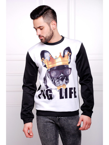 Французский бульдог Свитшот №2 Men (весна) д/р