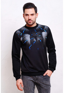 Змея Свитшот №2 Men (весна) д/р