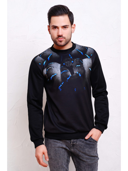 Змея Свитшот №2 Men (весна) д/р