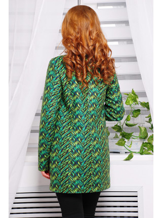 Абстракция зеленая пальто Рада