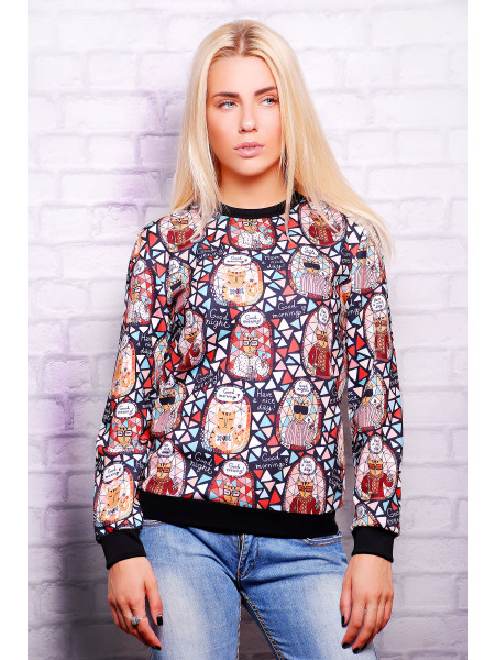 Cat days кофта Свитшот №1 (весна) д/р