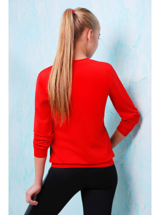 Маки-круг кофта Свитшот №2 (весна) д/р