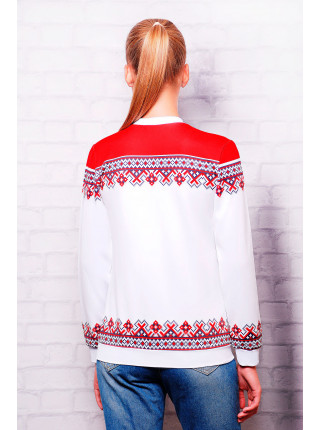 Миньоны казаки кофта Свитшот №1 (весна) д/р