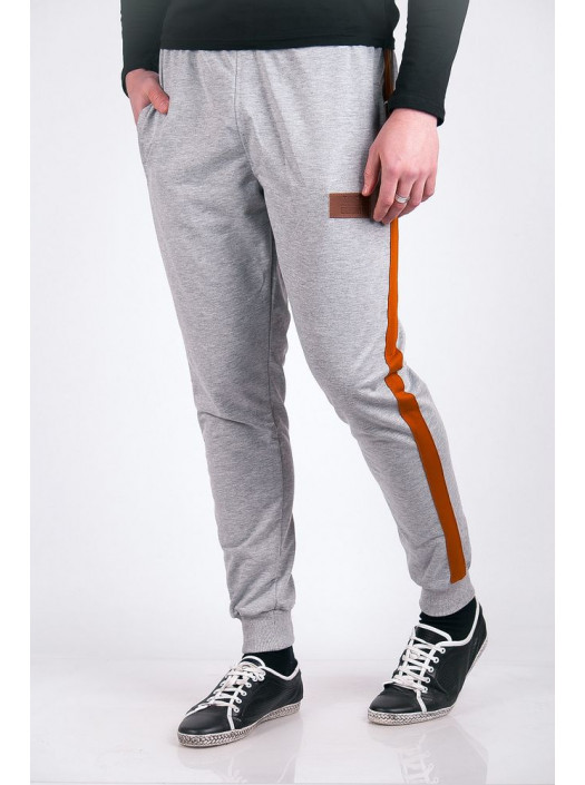 Брюки Брюки спортивные №123F004_Серый