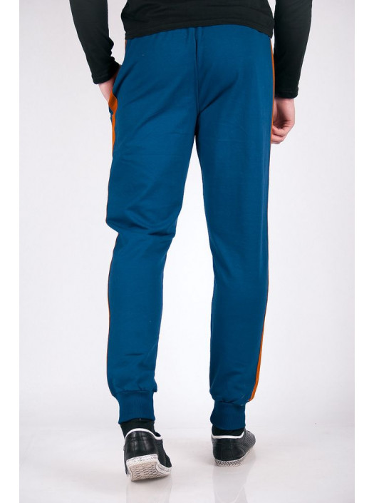 Брюки Брюки спортивные №123F004_Синий