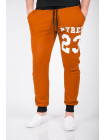 Брюки Брюки спортивные №124F001_Терракотовый