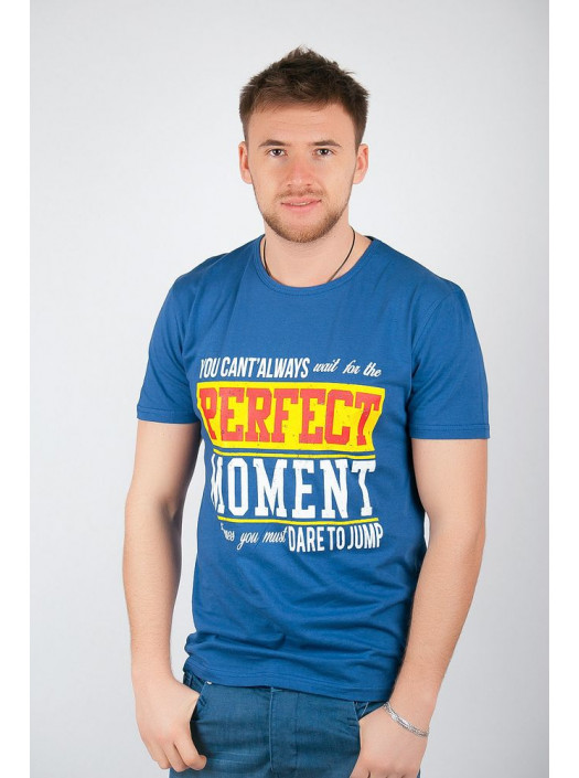 Футболка Футболка (батал) №67F011_Синий