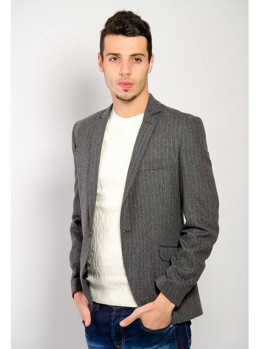 Пиджаки Пиджак №70F004_Серый в синюю полоску